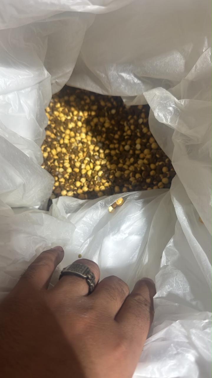 Bhuna Chana (Roasted Chickpeas) 500gm Code5001