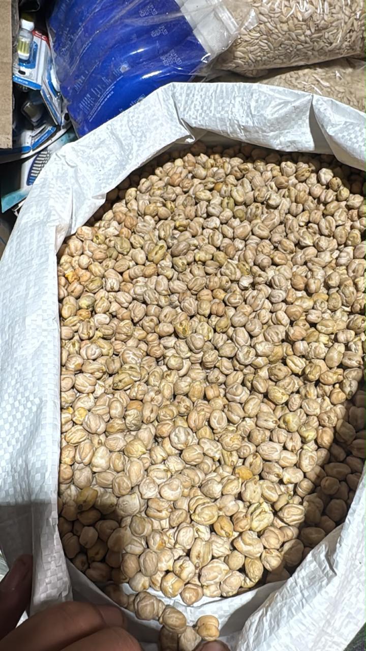 Chole (Chickpeas) 500gm Code5001