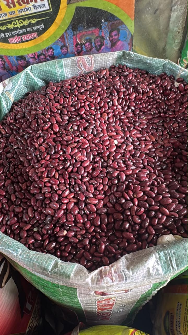 Rajma (Kidney Beans) 500gm Code5001