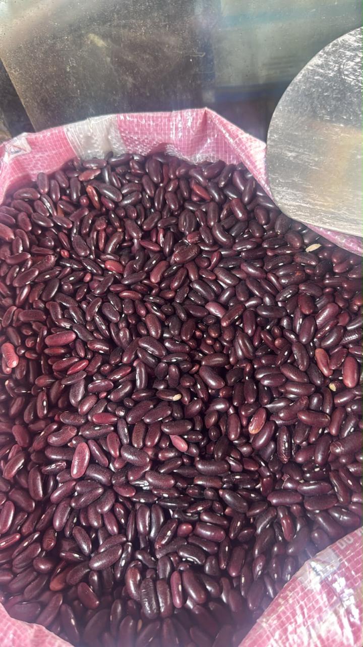 Rajma Chitra (Kidney Beans) 500gm Code5001
