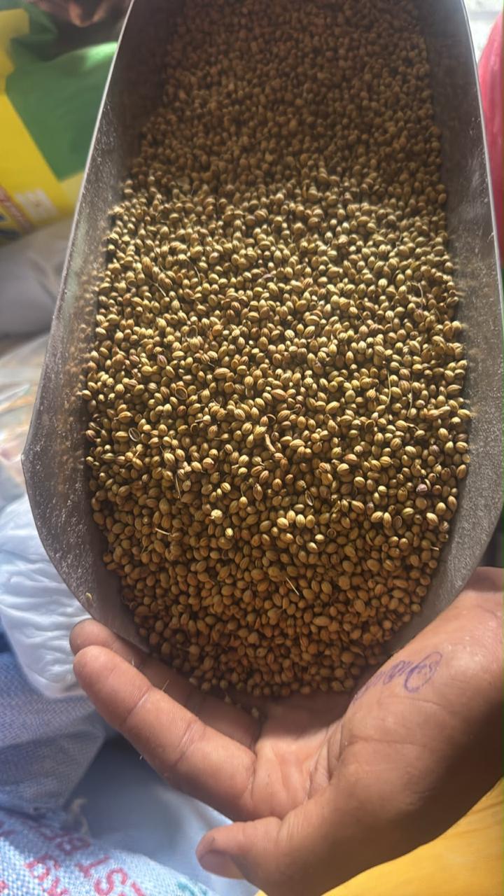 Naturix Spices Coriander Seeds (Dhaniya) 500g Code5001