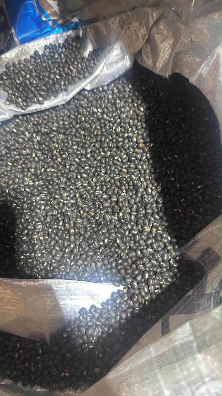 Sabut Urad (Whole Black Urad) 500gm Code5001