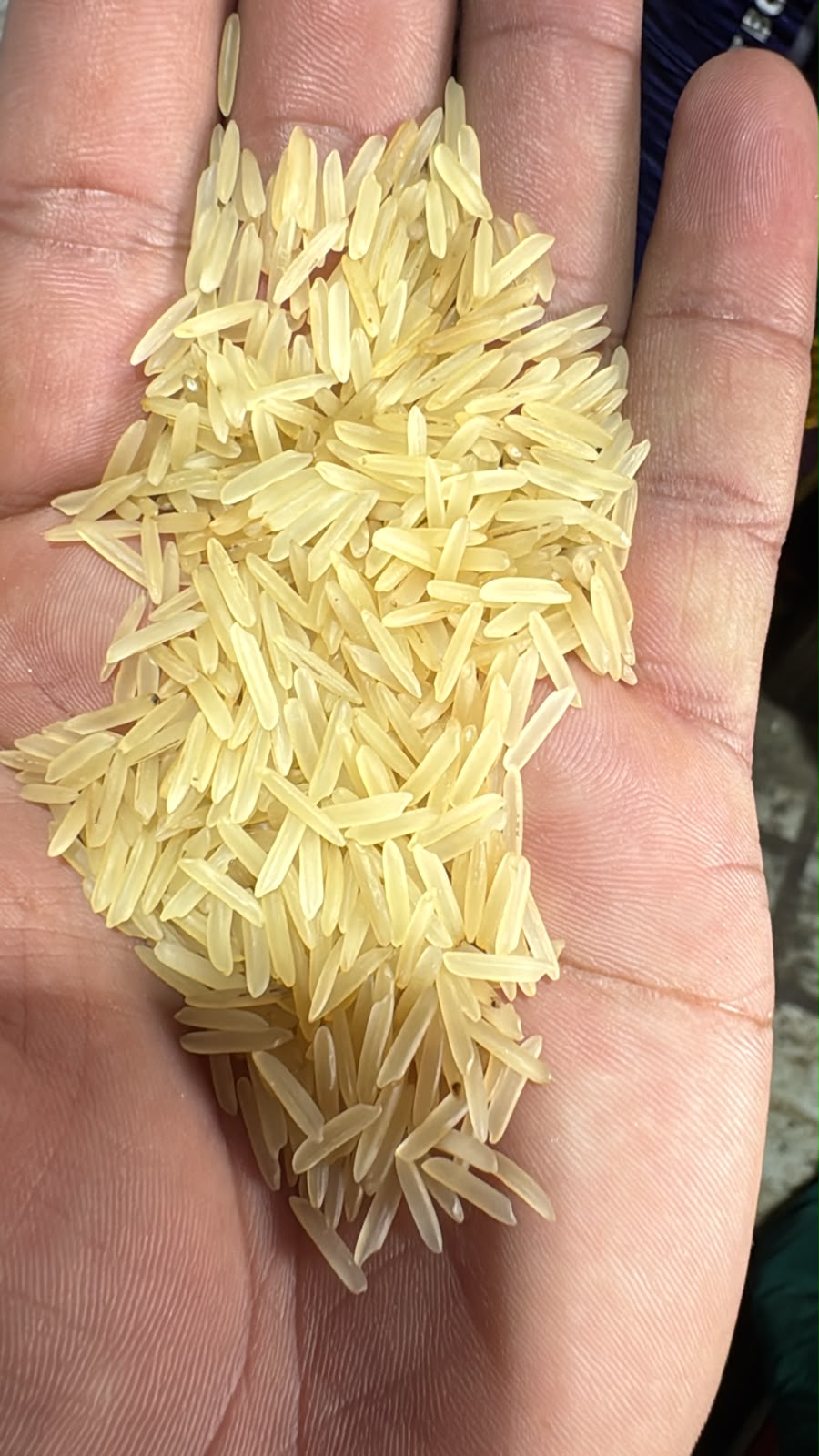 Double Chabi 1121 Golden Sella Basmati - Grain Close-up