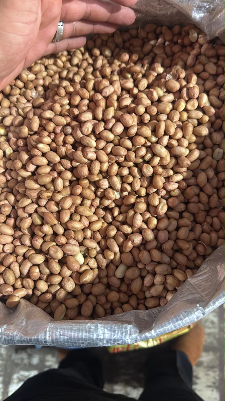Fresh Moong Fali Peanuts 1kg
