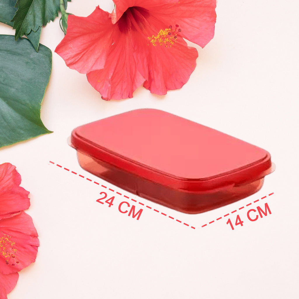 2879 Seal Rectangular 2 Containers Lunch Box