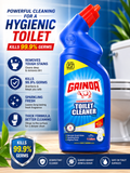 Gainda Disinfectant Toilet Cleaner Liquid - Kills 99.9% Germs, 1 Litre