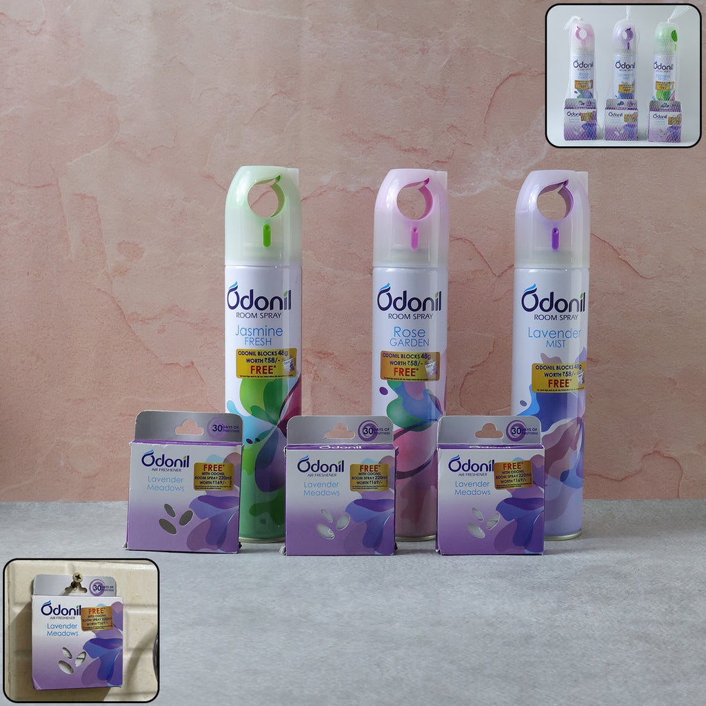 Room Spray And Air Freshener Blocks Combo Set (1 Set Mix Fragrance 220 Ml)